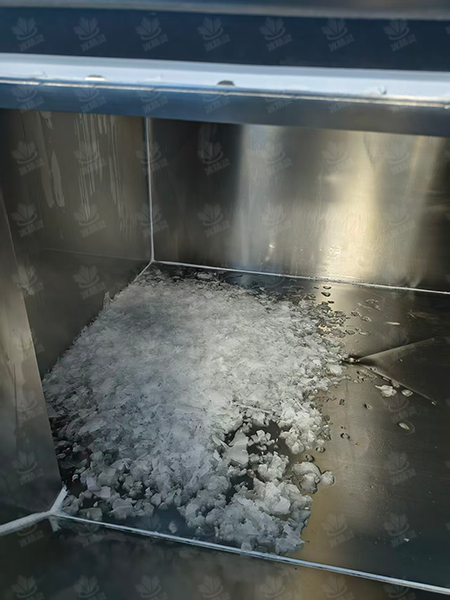 鳞片冰